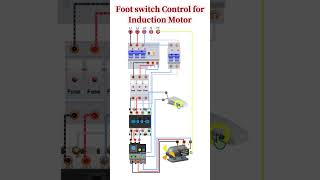 Foot switch Control forInduction Motor | Induction Motor with Foot Switch #switches #electrical
