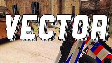 Vector review and best class setup bullet force