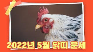 [백련사]2022년 5월 닭띠 운세!! (30세, 42세, 54세)