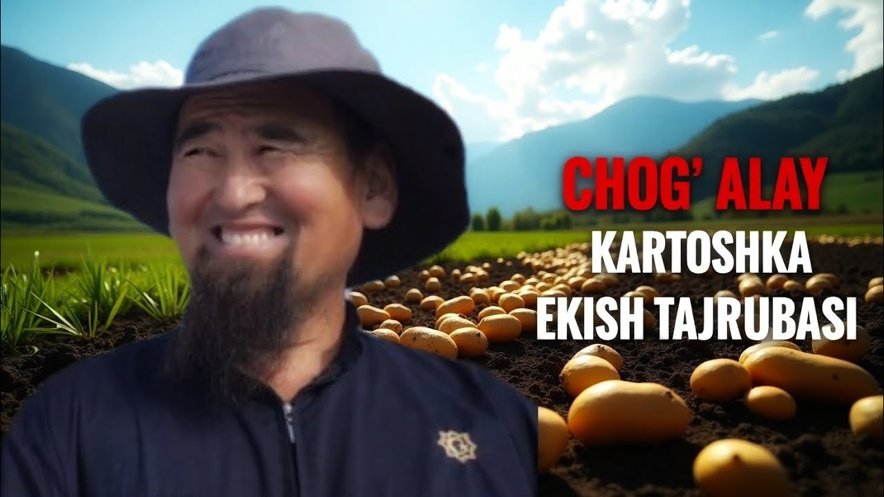 45 КУНЛИК ЭРТАНГИ КАРТОШКА 2- қисм  #bobodexqonlar