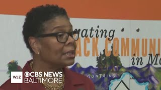 Reginald F. Lewis Museum President Terri Lee Freeman retiring in December