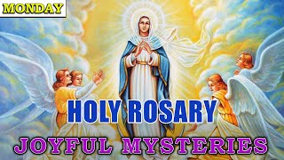 성모 로사리오 기도 ❤️ 환희의 신비 🌹❤️ 온라인 로사리오 기도 screenshot 4