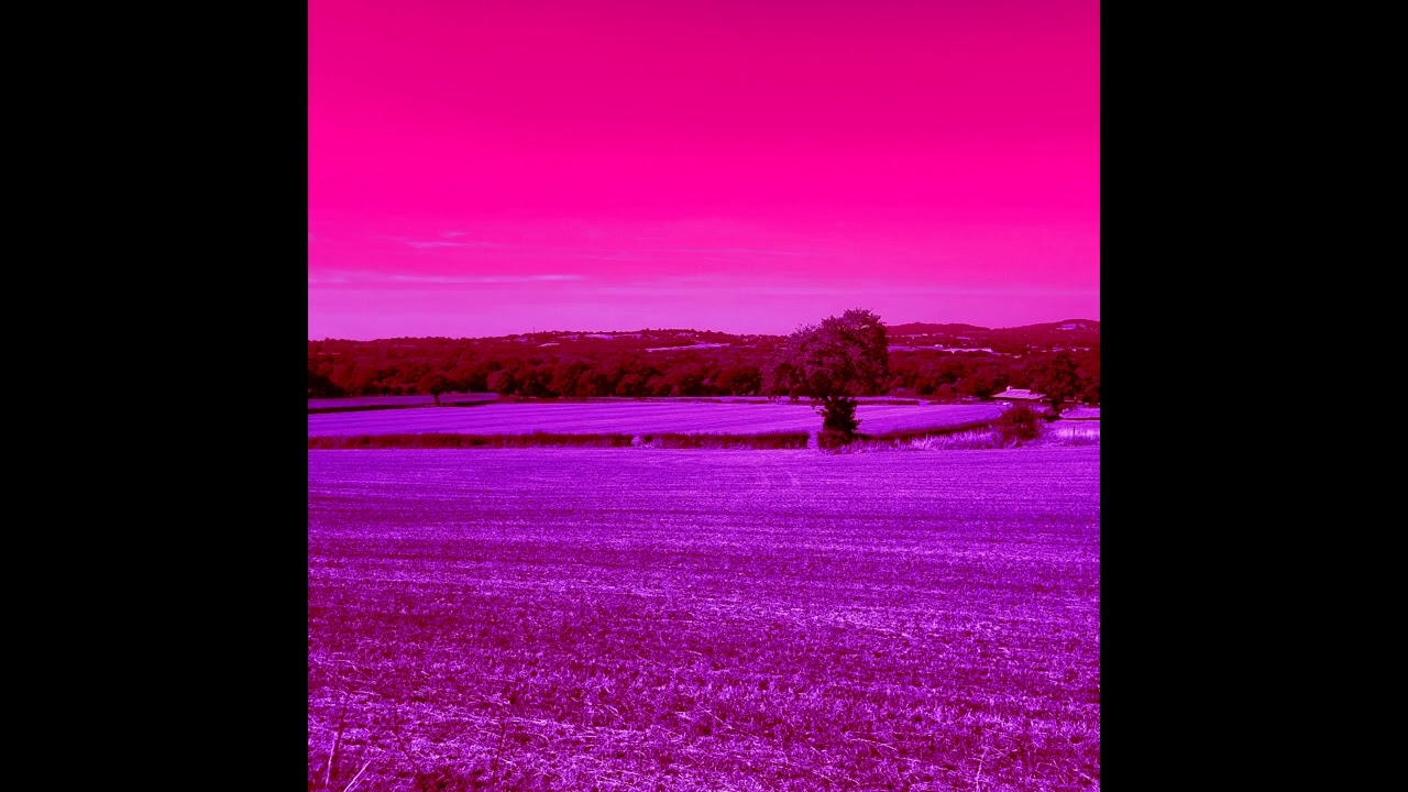 The Roots Are Wires (Audio)