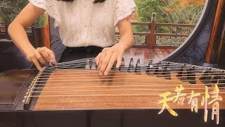 古箏《天若有情》(追夢人) A Moment of Romance, by Guzheng