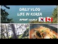 [ENG/KOR CC] KOREA BEACH VLOG: Visiting a beach 동백나무숲 (also known as Donbaek Camellia forest)