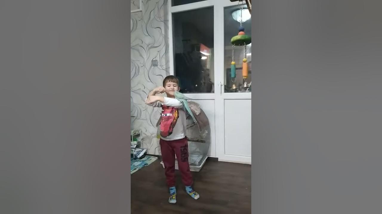 Дете с папагал от вида Малък Александър - YouTube