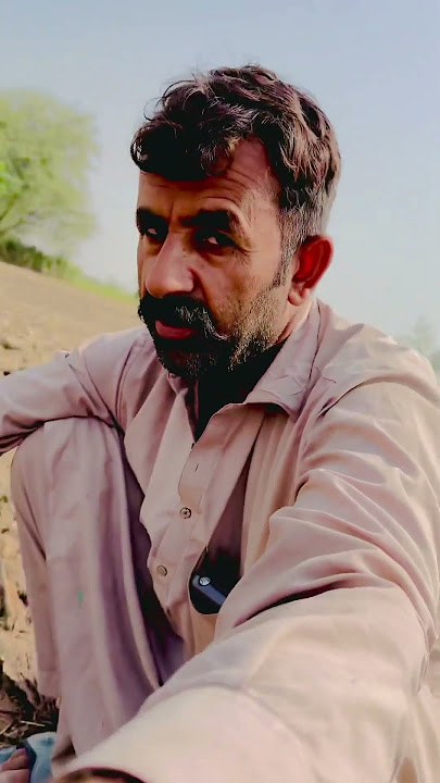 Welcome tu see #akramshikari007 #birds #shourtvedio