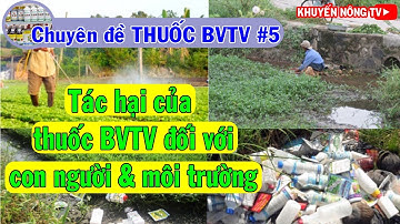 Tác hại của thuốc BVTV đối với sức khỏe con người và môi trường – Chuyên đề THUỐC BVTV #5
