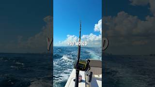 Trolling Near The Beach