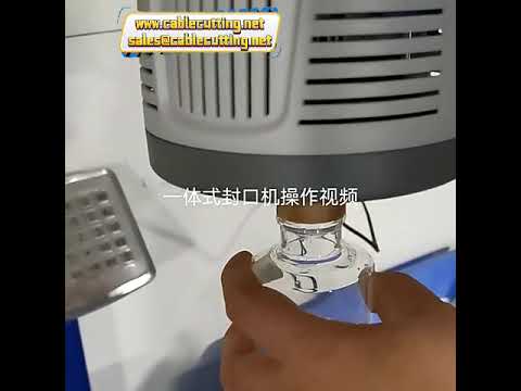 Hand-Held Electromagnetic Continuous Induction Sealer for Honey Plastic Glass Bottle Aluminum Foil