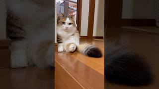 あっ一方通行と違うんや