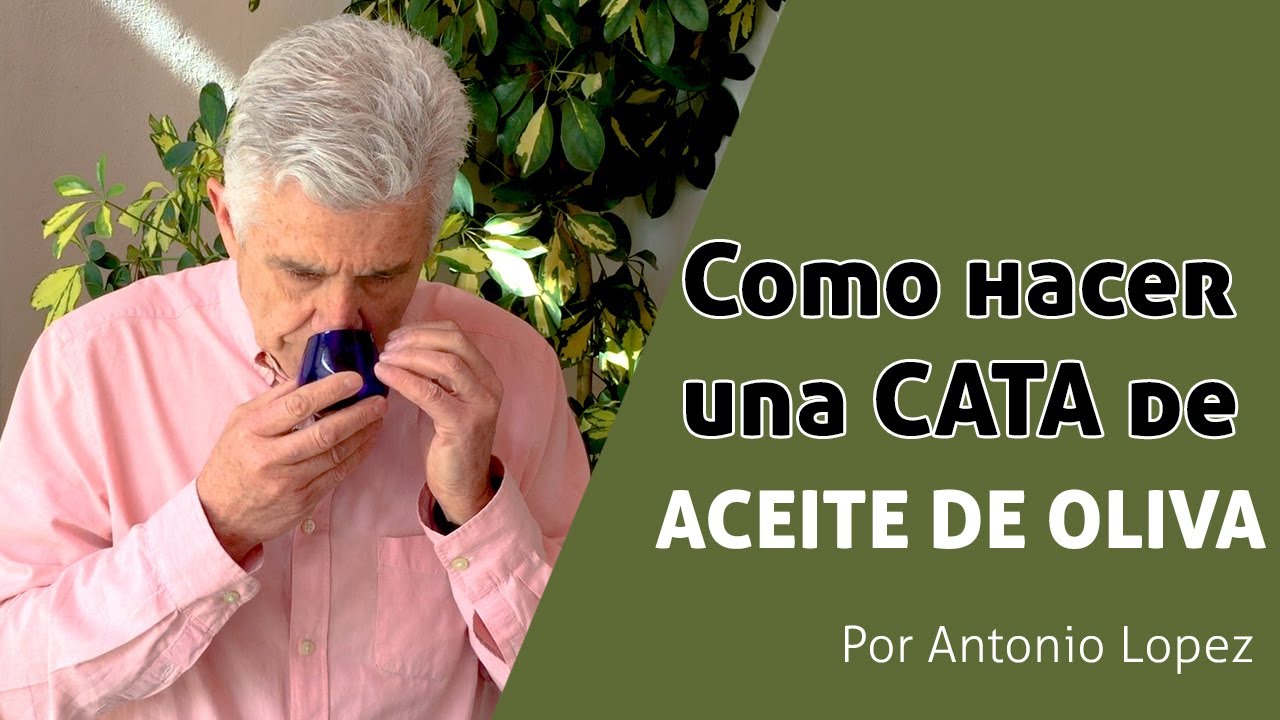 TUTORIAL CATA DE ACEITE DE OLIVA