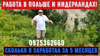 Сколько можно заработать! в Польше и Нидерландах наш опыт! За 5 мес. мы с женой авто бизнес-класса!