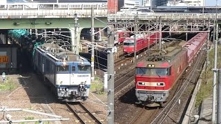 Train №8785(EF510-20＆HoKi 2000, 9500)｜№8084(EF64-1022 etc.＆TaKi 1000) at Between Kanayama－Otōbashi