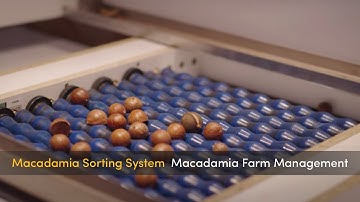 AgTech Vision Sorting System | COREMATIC