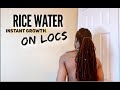 Grow Locs Overnight! w RICE WATER