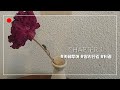 서울 카페투어☕ #1 쌍리단길 / 카페추천 / 티끌 /Seoul, Cafe