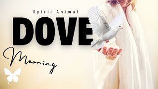 White Dove Spirit Animal | DOVE Spirit Guide| White Dove Symbolism