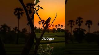 SURAH TALAQ AYAT 2-3 WITH URDU TRANSLATION