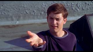 Telaraña Plantilla Del Meme En Vídeo Full Hd 1080P Hombre Araña 1