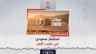 استثمار سعودي في حليب الإبل