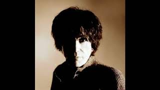Peter Perrett.Hard to say no...From album How the West was won.2017.