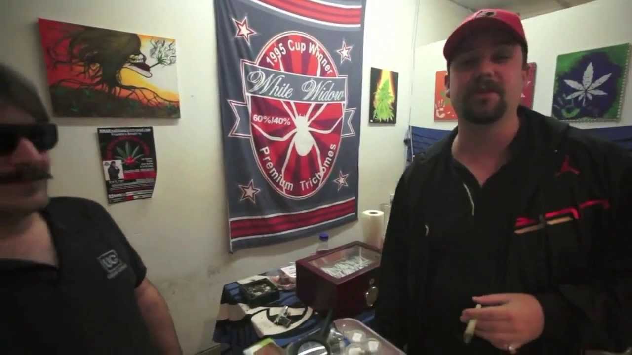 partynextdoor The Kush Bros: MMAR Coalition Fundraiser