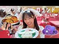 【ピューロランド&火鍋vlog】バースデーガールと1日デート⋆˚ ⸝⸝ ♡