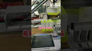 Automatic Casersc Packing Solution For Cartons, Top Loading Case Packing By Two Delta Robot