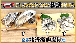 同じ 産地 の 牡蠣 を 食べ比べ してみた