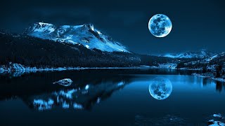 Download Lagu relax music Amazing Wildlife of Botswana 8K Nature Documentary Film with music Download Lagu relax music Amazing Wildlife of Botswana 8K Nature Documentary Film with music