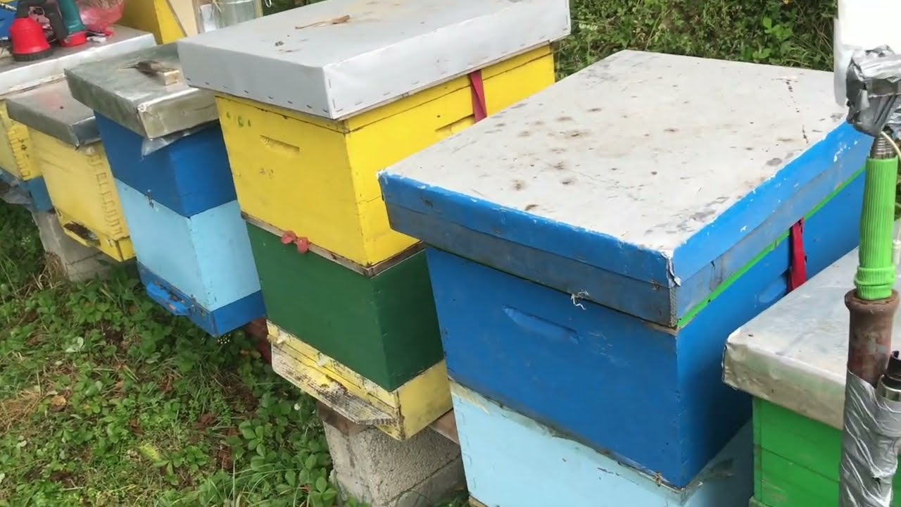 Uzimljavanje LR košnice na dva nastavka