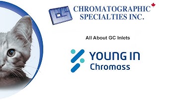 Basic of GC Part 2 - All About GC Inlets