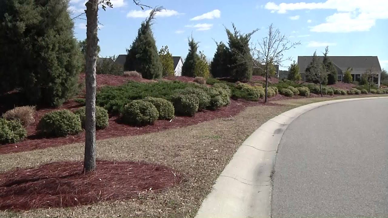 Synthetic fireresistant ground cover replacing flammable pine straw in