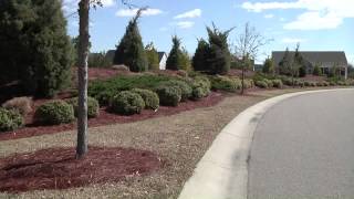 Synthetic fire-resistant ground cover replacing flammable pine straw in Barefoot Resort