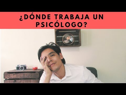 ¿Dónde Encuentran Empleo La Mayoría De Los Psicólogos?