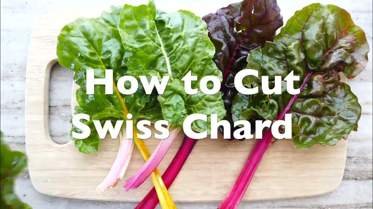 How to Cut Swiss Chard YouTube