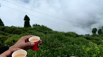 Darjeeling Tour | Queen of Hills | Travel Mashup 2022