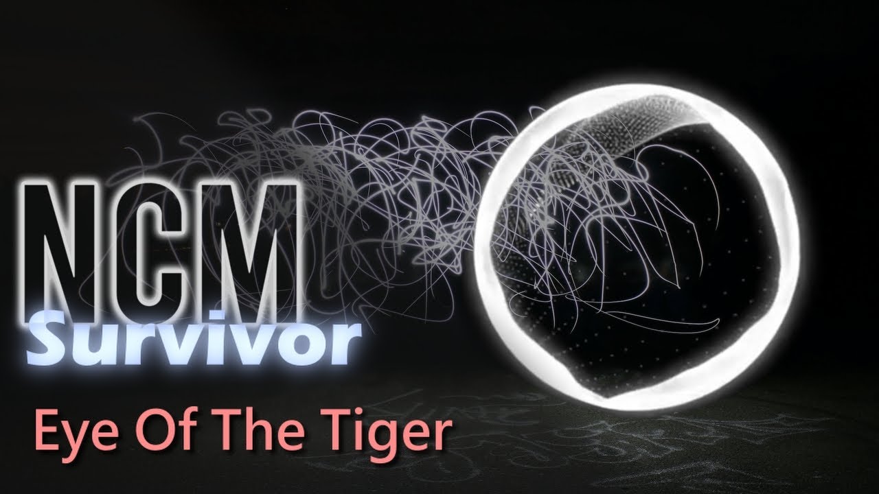 Stream Survivor - Eye Of The Tiger (Dj Dark & Mentol Remix) by Dj Dark