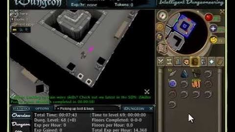 Runescape RSBot Dungeoneering bot video iDungeon Preview 2012
