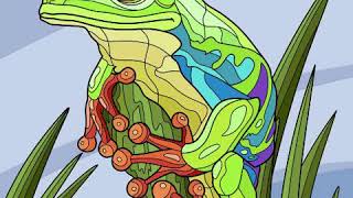 Lite Tap Color "Now What?" Wondered The Little Frog, As She Ran Out Of Stick Coloring Page screenshot 5
