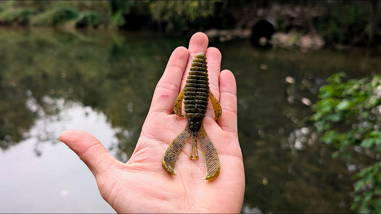 Fall Bass Fishing with Strike King Rage Bugs! | Texas Rig