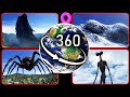 TOP 4 Unexplained Creatures Found on Google Earth! — VR 360°
