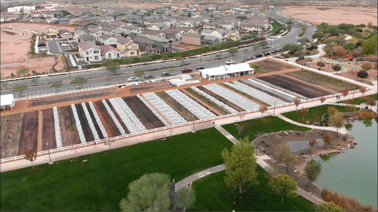 Introduction to what's coming Steadfast Farm Agrihood in Mesa, AZ