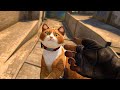 CS:GO, but I adopted a CAT