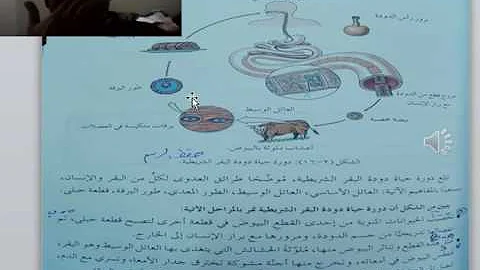 تحميل التكاثر في الديدان الشريطيه Mp4 Mp3