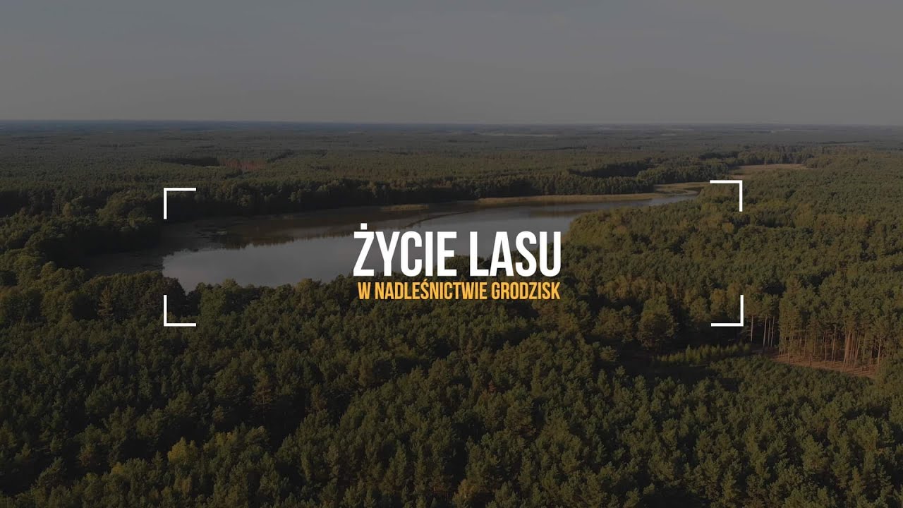 Życie Lasu odc. 1  