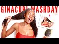 Updated GinaCurl WASHDAY Routine | Detangling NewGrowth