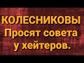 Семья Колесниковых/Новости из Дворца.