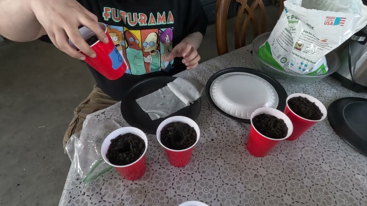 Cannabis grow journal 2024 PART : 1